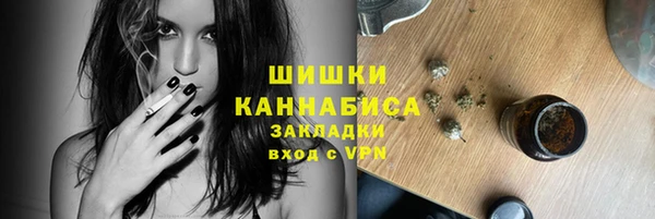 ГАЛЛЮЦИНОГЕННЫЕ ГРИБЫ Алексин