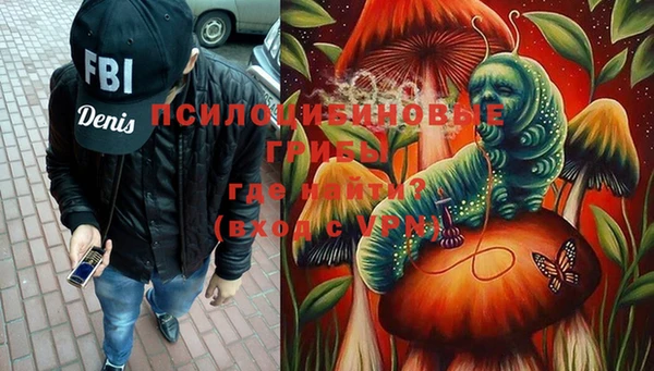 ГАЛЛЮЦИНОГЕННЫЕ ГРИБЫ Алексин
