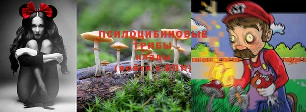 СК Алзамай